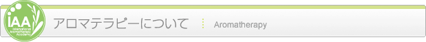 アロマテラピーについて Aromatherapy